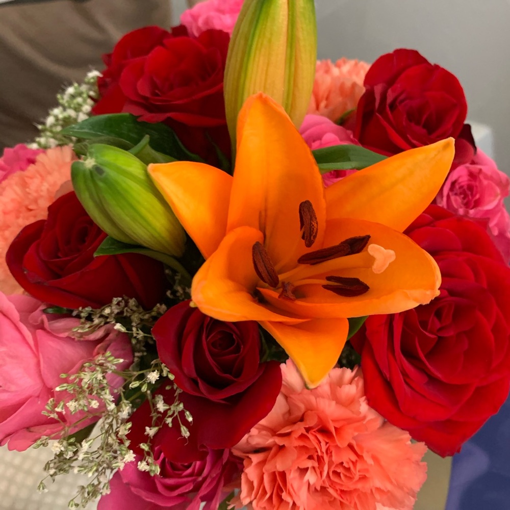 Meet your Posher, Carolann